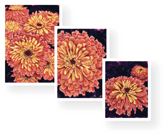 A rich, luxurious autumn hug. These warm jewel tones are the ultimate cozy comfort as the days get a bit shorter.
